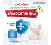 PHÒNG CHỐNG BỆNH DẠI